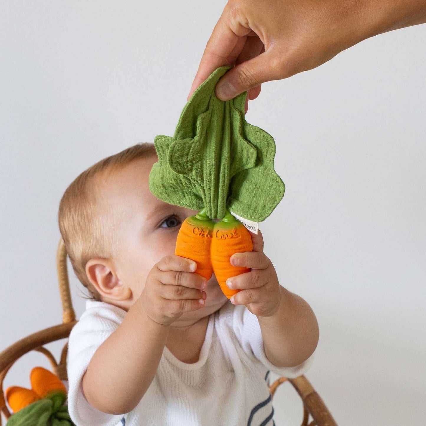 đ„ Cathy la Carotte (mini doudou-anneau de dentition)