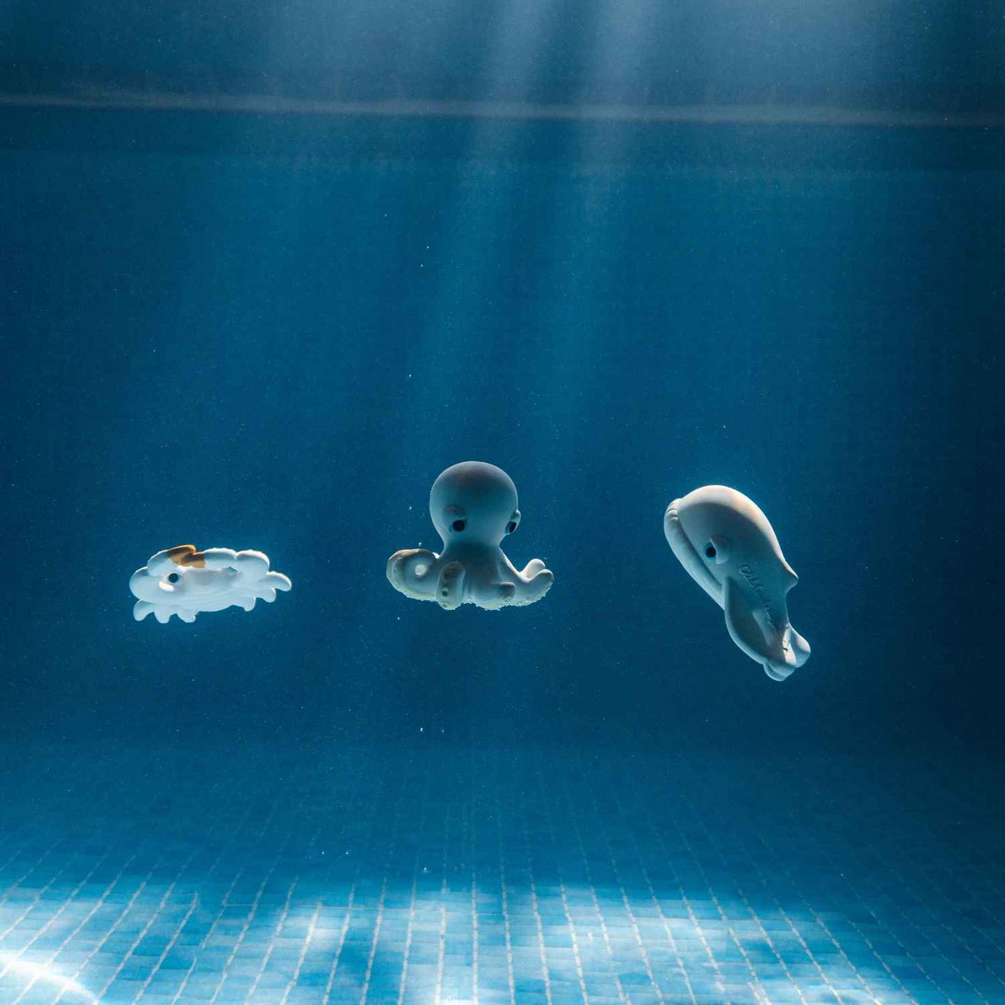 Orlando La Pieuvre de Bain