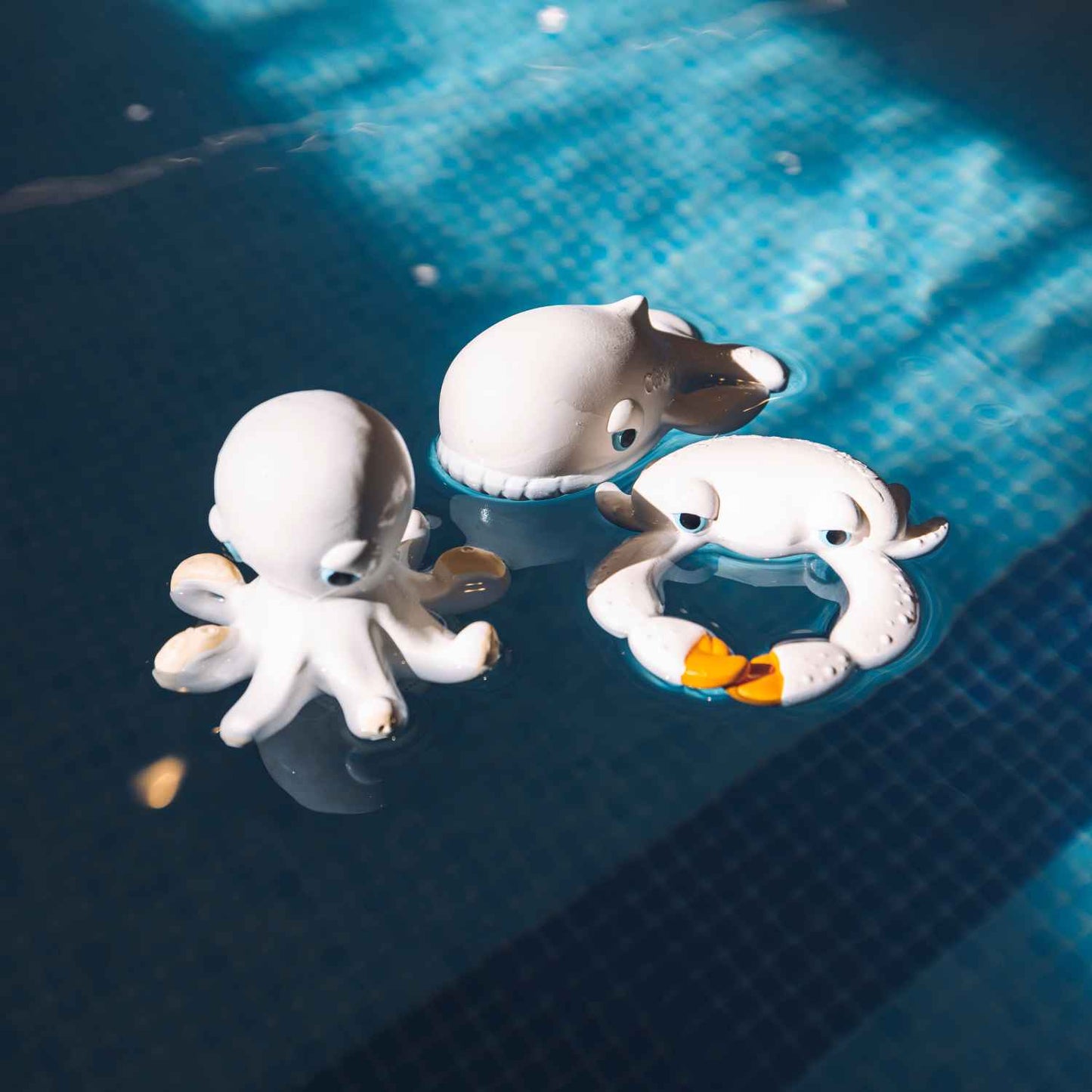 Orlando La Pieuvre de Bain