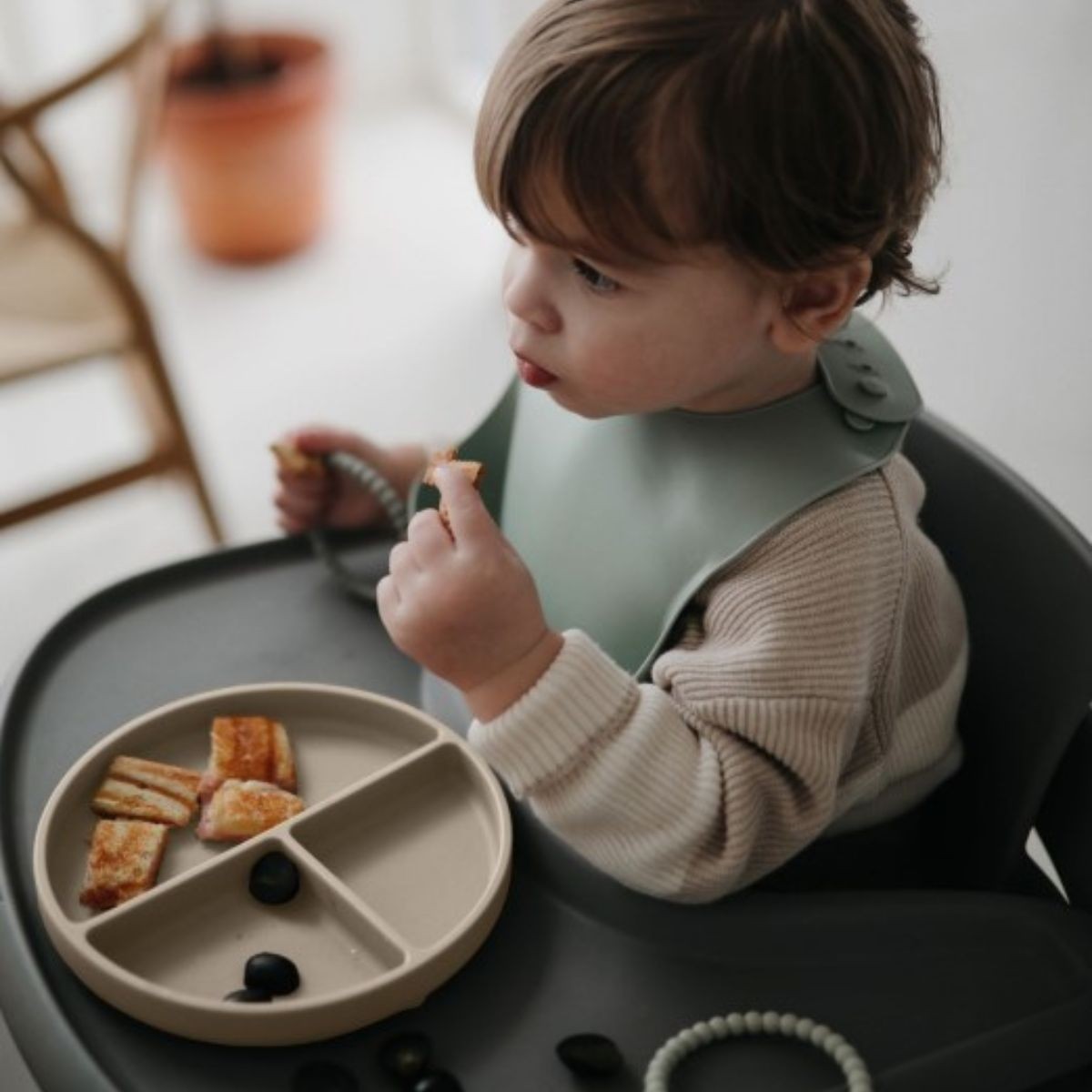 Assiette Compartiment