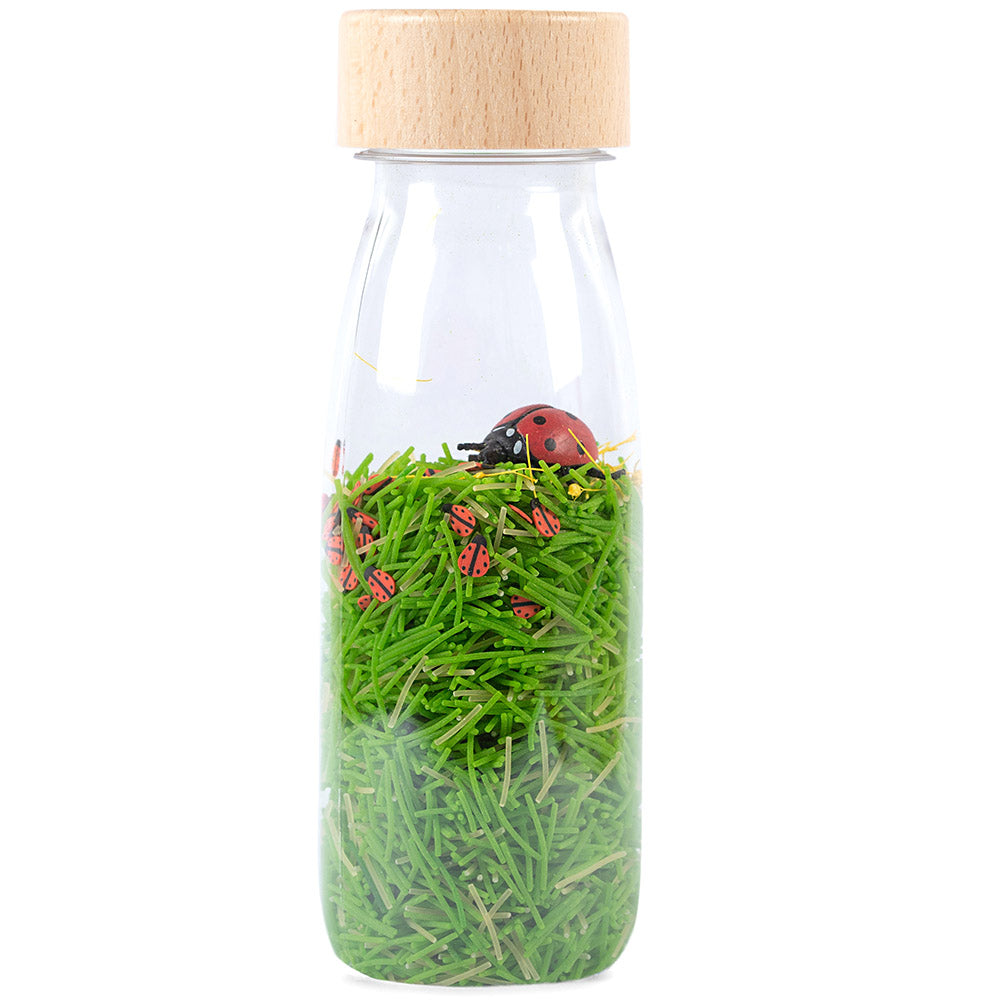 Bouteille Sensorielle - Coccinelle