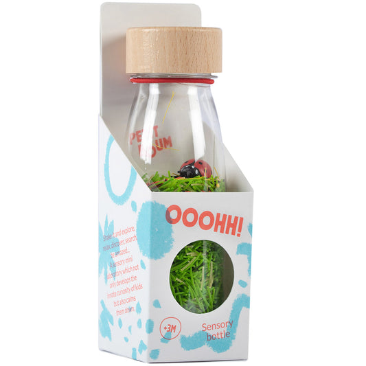 Bouteille Sensorielle - Coccinelle